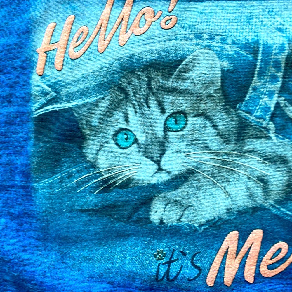 Fabulous Kitty Top